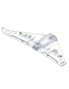 Avion RC, aile volante, DISC.. Explorer bee FPV wing Advanced Kit (avec servos, esc, moteur et p